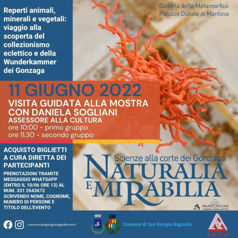 Naturalia e Mirabilia - Visita guidata alla mostra di Palazzo Ducale